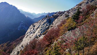 Routeninfos und Topos zum Klettergebiet «Courtil» findest du im Kletterführer «Schweiz Plaisir SUD 2020» von edition filidor.
