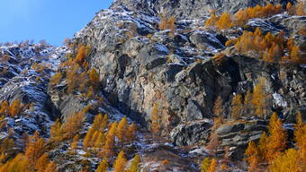Routeninfos und Topos zum Klettergebiet «Croux» findest du im Kletterführer «Schweiz Plaisir SUD 2020» von edition filidor.