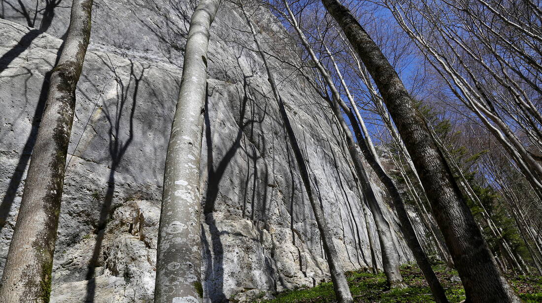 Routeninfos und Topos zum Klettergebiet «Mervelier» findest du im Kletterführer «Schweiz extrem JURA» von edition filidor.