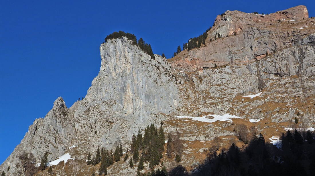 Geissstock – edition filidor