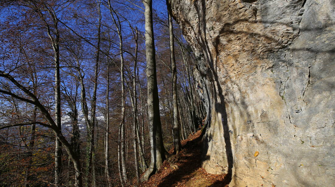 Routeninfos und Topos zum Klettergebiet «St. Jöri» findest du im Kletterführer «Schweiz plaisir OST» von edition filidor.