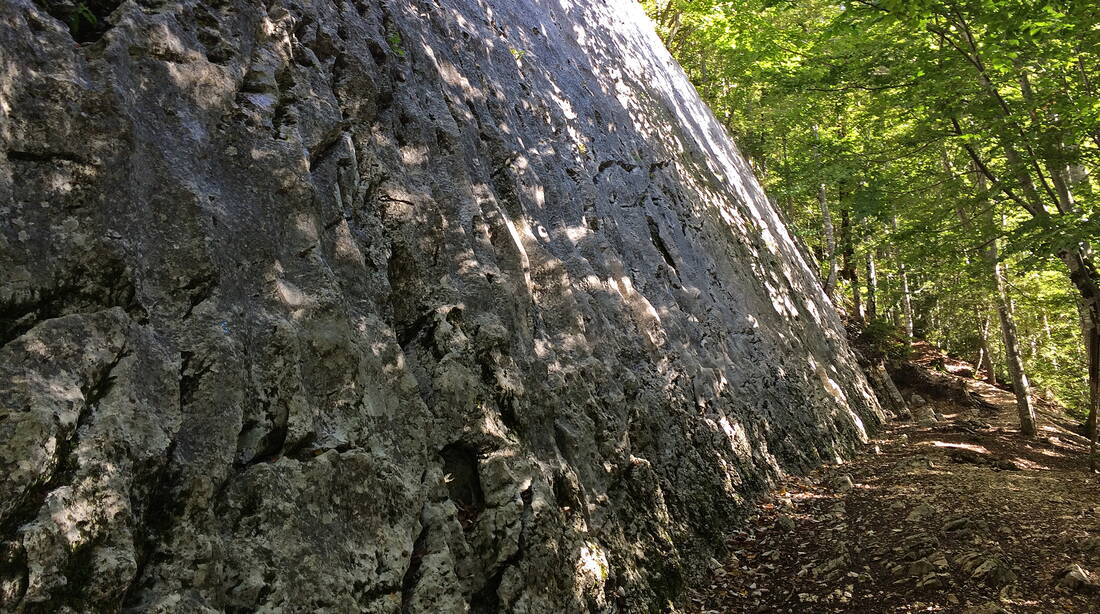 Routeninfos und Topos zum Klettergebiet «Goulette» findest du im Kletterführer «Schweiz plaisir JURA 2017» von edition filidor.