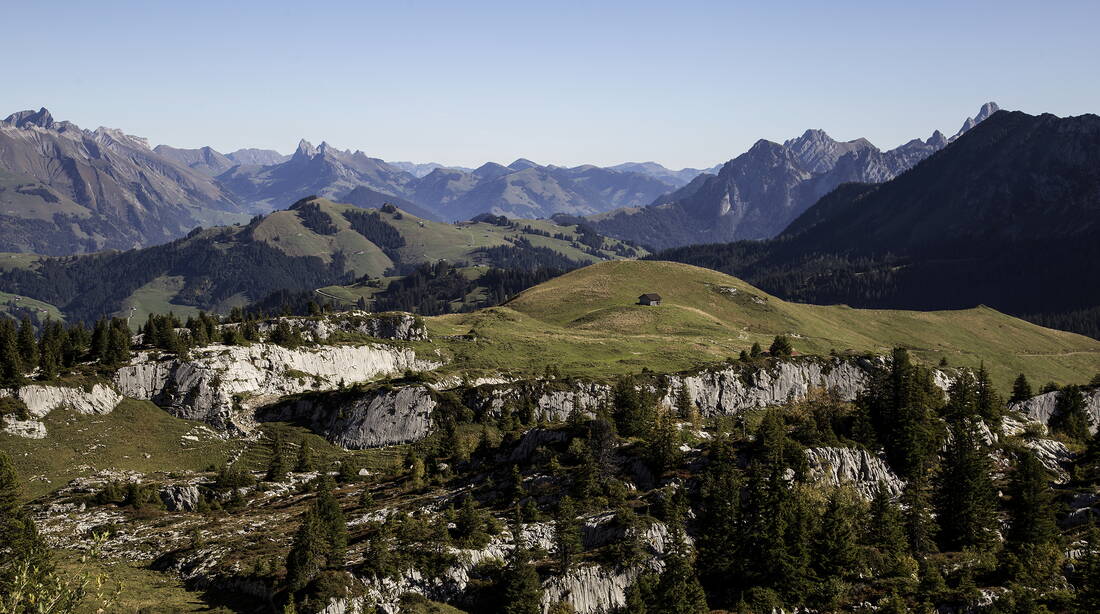 Routeninfos und Topos zum Klettergebiet «Pierre du Moëllé» findest du im Kletterführer «Schweiz Plaisir West 2019» von edition filidor.