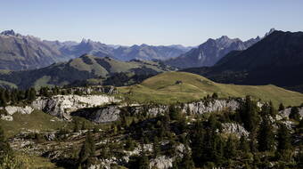 Routeninfos und Topos zum Klettergebiet «Pierre du Moëllé» findest du im Kletterführer «Schweiz Plaisir West Band 2» von edition filidor.