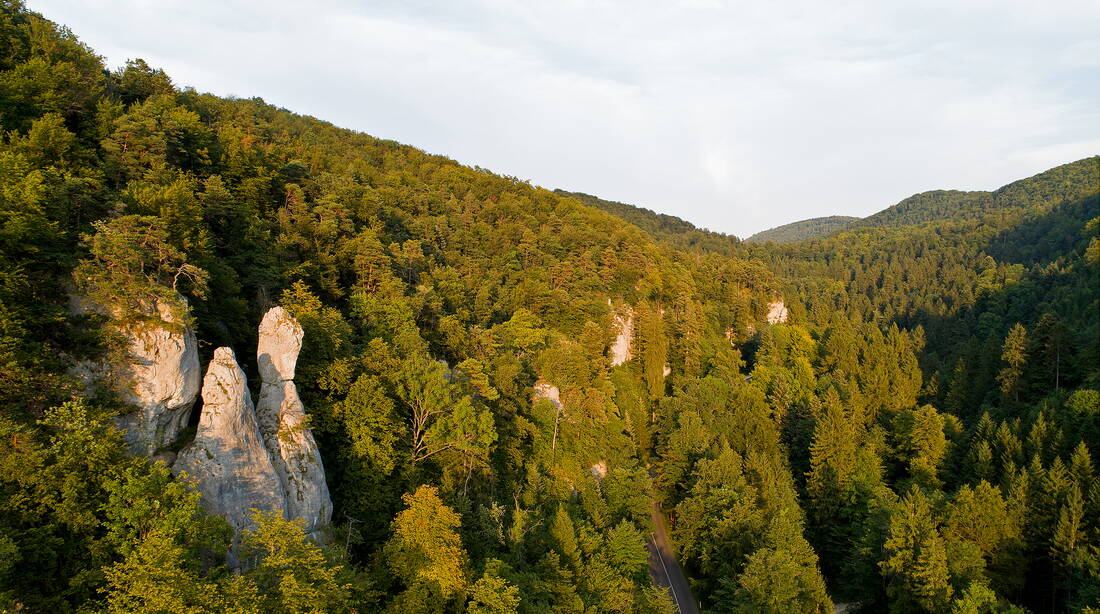 Routeninfos und Topos zum Klettergebiet «Pelzli» findest du im Kletterführer «Schweiz plaisir JURA 2017» von edition filidor.