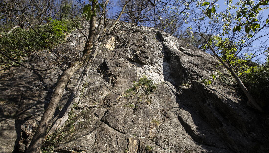 Routeninfos und Topos zum Klettergebiet «Baji» findest du im Kletterführer «Schweiz Plaisir West Band 2» von edition filidor.