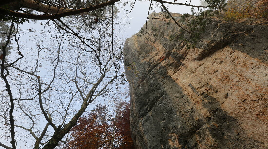 Routeninfos und Topos zum Klettergebiet «Redelsflue» findest du im Kletterführer «Schweiz plaisir JURA 2017» von edition filidor.