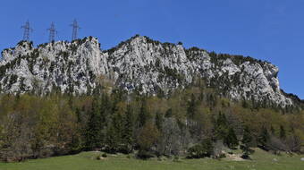 Routeninfos und Topos zum Klettergebiet «Rüttelhorn» findest du im Kletterführer «Schweiz plaisir JURA 2017» von edition filidor.