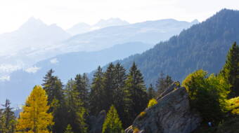 Routeninfos und Topos zum Klettergebiet «Siat» findest du im Kletterführer «Schweiz plaisir OST» von edition filidor.