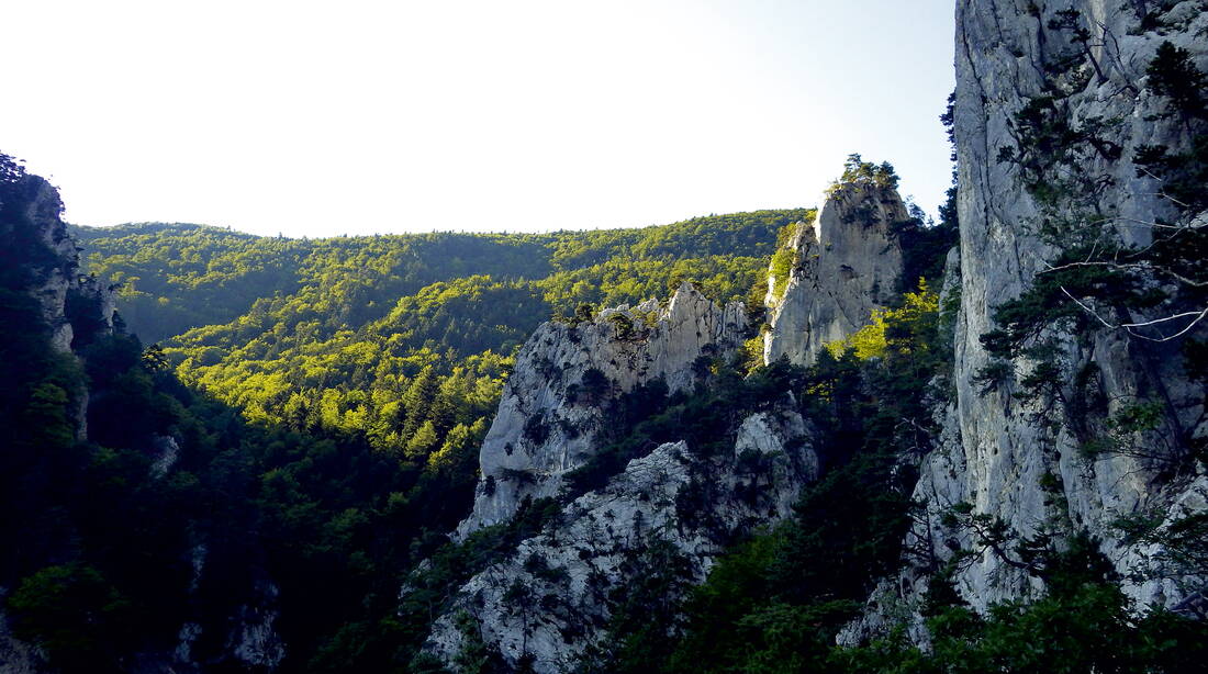 Routeninfos und Topos zum Klettergebiet «Oberdörflerchlus» findest du im Kletterführer «Schweiz plaisir JURA» von edition filidor.