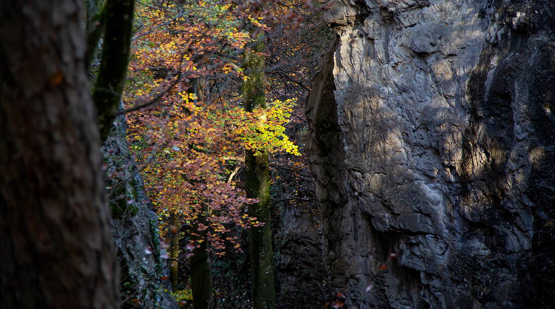 Routeninfos und Topos zum Klettergebiet «Brochne Burg» findest du im Kletterführer «Schweiz plaisir OST» von edition filidor.