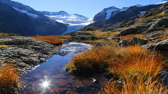 Routeninfos und Topos zum Klettergebiet «Windegg» findest du im Kletterführer «Schweiz Plaisir West Band 1» von edition filidor.