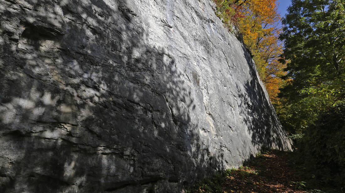 Routeninfos und Topos zum Klettergebiet «Vingelz» findest du im Kletterführer «Schweiz plaisir JURA 2017» von edition filidor.