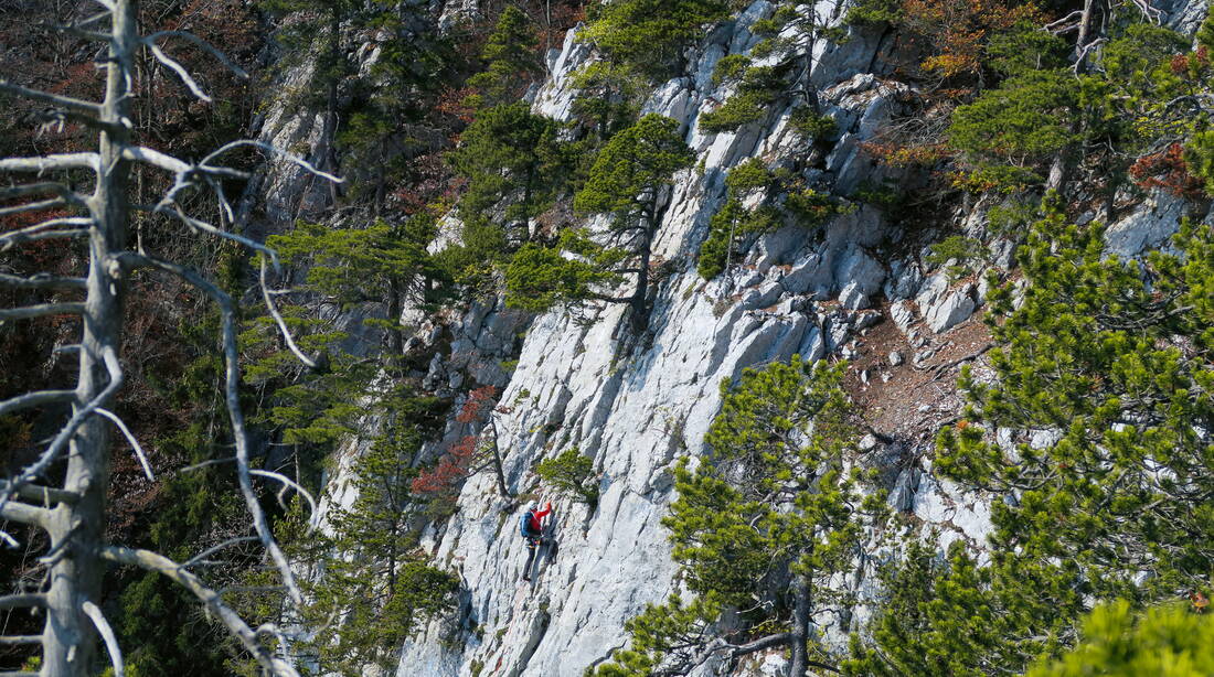 Routeninfos und Topos zum Klettergebiet «Balmflue» findest du im Kletterführer «Schweiz plaisir JURA» von edition filidor.