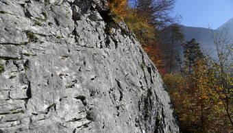 Routeninfos und Topos zum Klettergebiet «Steinbruch Burgfluh» findest du im Kletterführer «Schweiz Plaisir West Band 1» von edition filidor.