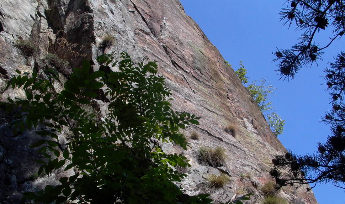 Routeninfos und Topos zum Klettergebiet «Rotchnubel» findest du im Kletterführer «Schweiz Plaisir West Band 2» von edition filidor.