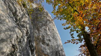 Routeninfos und Topos zum Klettergebiet «Tüfleten» findest du im Kletterführer «Schweiz plaisir JURA 2017» von edition filidor.