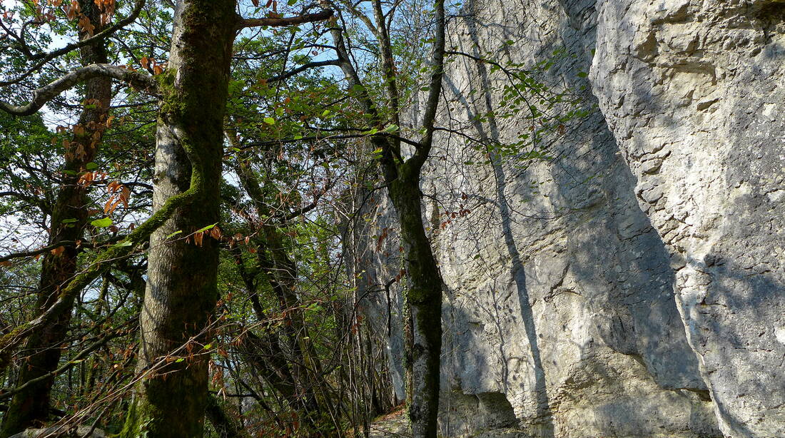 Routeninfos und Topos zum Klettergebiet «Gaicht» findest du im Kletterführer «Schweiz extrem JURA» von edition filidor.