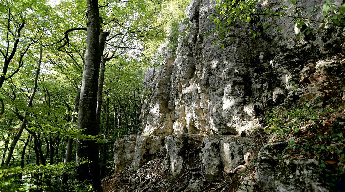 Routeninfos und Topos zum Klettergebiet «Hombergflüeli» findest du im Kletterführer «Schweiz plaisir JURA 2017» von edition filidor.