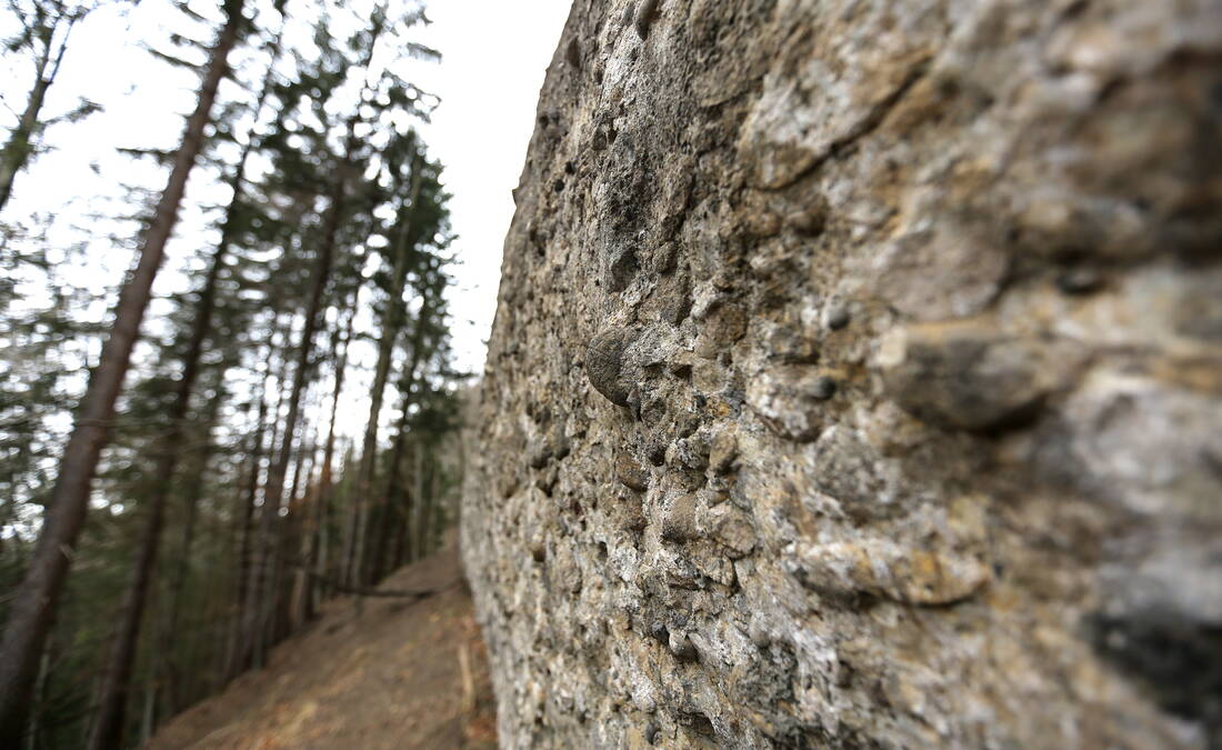 Routeninfos und Topos zum Klettergebiet «Riffenmatt» findest du im Kletterführer «Schweiz Plaisir West Band 1» von edition filidor.