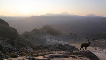 Routeninfos und Topos zum Klettergebiet «Orny – Cabane» findest du im Kletterführer «Schweiz Plaisir West Band 2» von edition filidor.